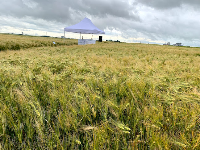 148 Rue Emile Dellette, 59290 Wasquehal