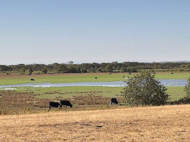 Des Cévennes à la Camargue - Restauration