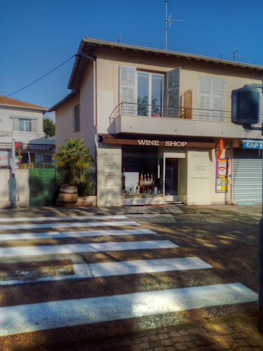 Comentarii opinii despre Cap Vins