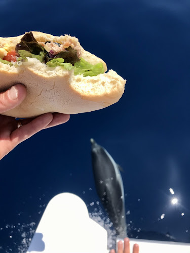 114 Bd Raymond Poincaré, 83700 Saint-Raphaël