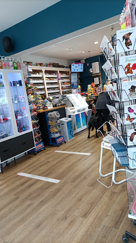 Opinii despre La Pergola în Montluçon - Restauration