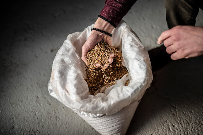 Brasserie Moussequetaire - Auch