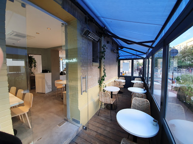 Comentarii opinii despre The Daily