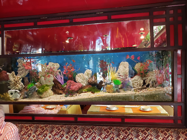 Comentarii opinii despre Restaurant Fleur de Jade