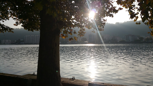 811 RN 86, 69560 Saint-Cyr-sur-le-Rhône