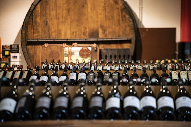 MAS SAPORTA La Boutique de la Maison des Vins du Languedoc - Lattes