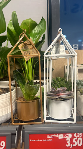 Comentarii opinii despre CAFE DE LA PAIX