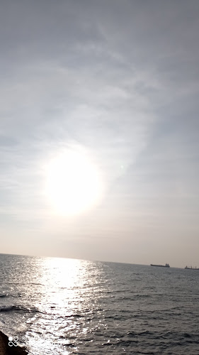 Opinii despre Bar P.M.U. du 14 Juillet în Martigues - Restauration