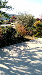 Artisan Boulanger Patissier