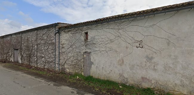 Château Saint-Pierre - Cenon