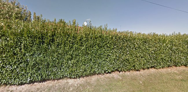 Rodriguez Jean-Claude