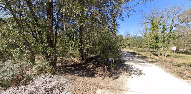 Samantha Paëlla Saveurs du Sud