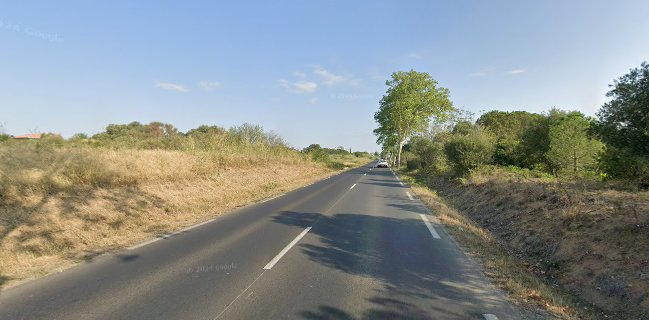 Cote Catalane- Le Restaurant