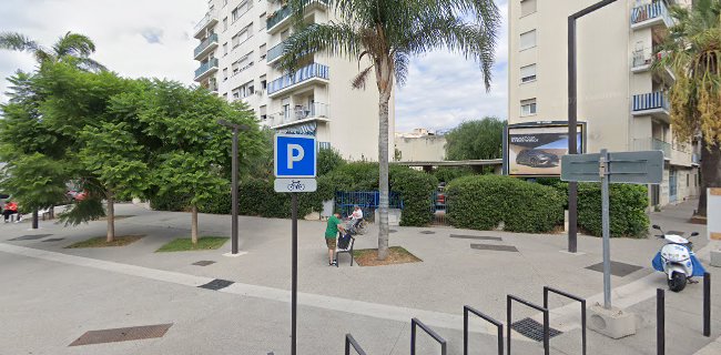 Fleurs de Courgettes