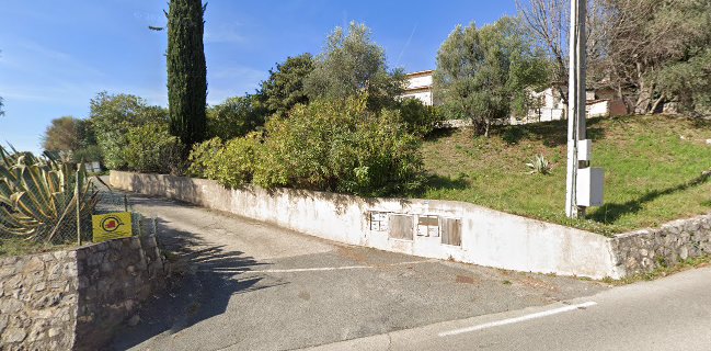 Le vin de basilic du Tignet