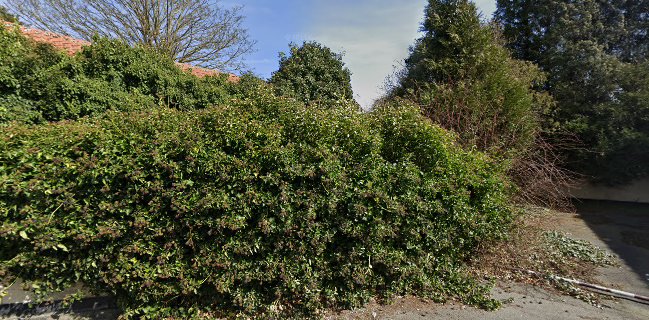 Au Coeur de la Malice Distributeur Automatique