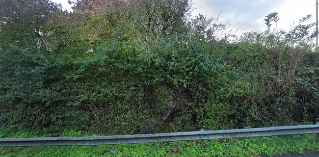 59290 Wasquehal, France