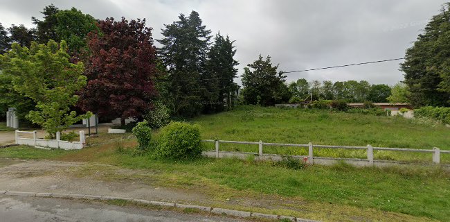 Comentarii opinii despre Maison Robert