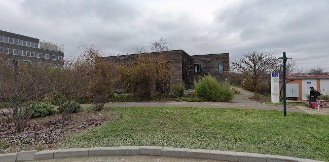 Mamie Cocotte Carre 92