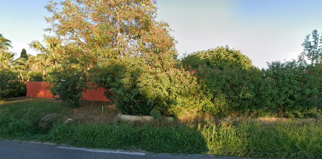 Opinii despre Food-Truck Pizza Casa Italia în Hyères - Restauration